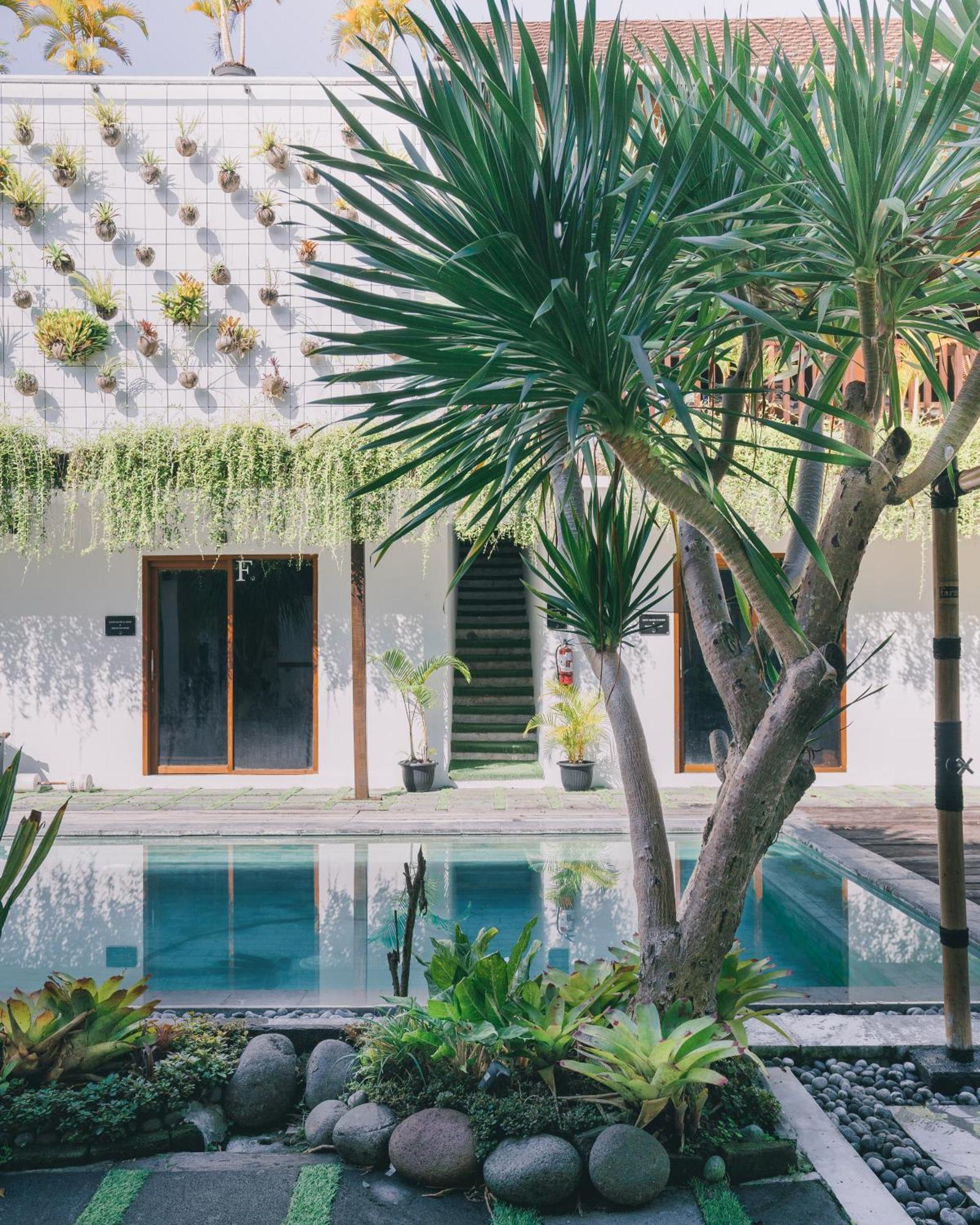 The Farm Hostel Canggu Eksteriør billede
